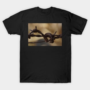 Barbed Wire by Avril Thomas at Magpie Springs T-Shirt